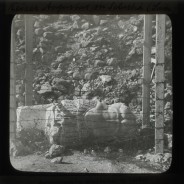 Böhl glass slide 61.3/1889